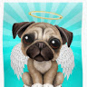 Meet your Posher, Elijah